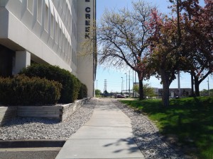 Office building on a bright sunny day.